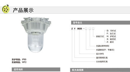 浙江通明電器ZY8620-40W節(jié)能防眩泛光燈 高效照明解決方案
